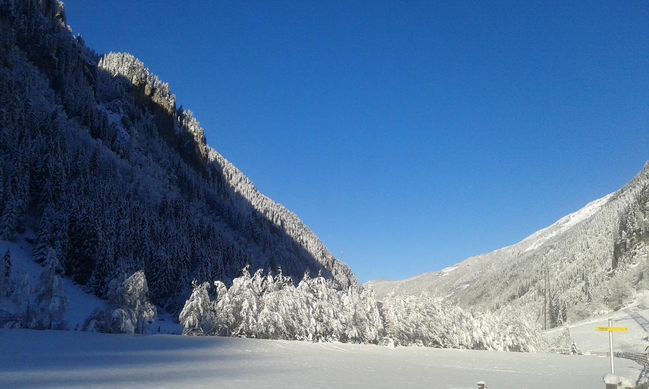 Gasthaus Haeusling Alm Ξενοδοχείο Mayrhofen Εξωτερικό φωτογραφία